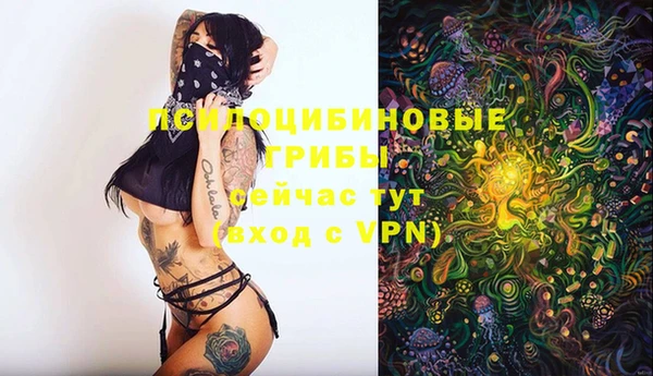 прущая мука Алзамай
