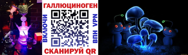 KRAKEN рабочий сайт Приморск darknet состав Галлюциногенные грибы мухоморы